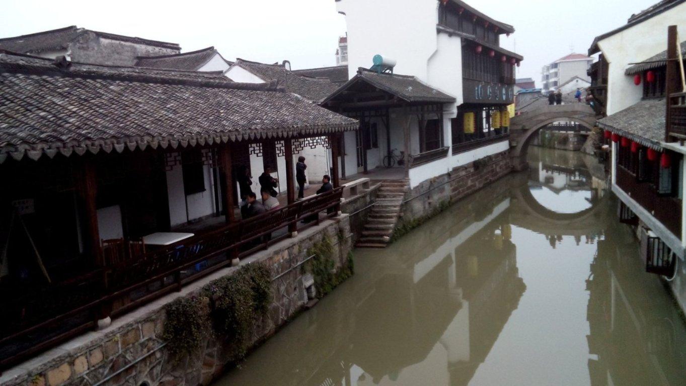 拯救红松鼠